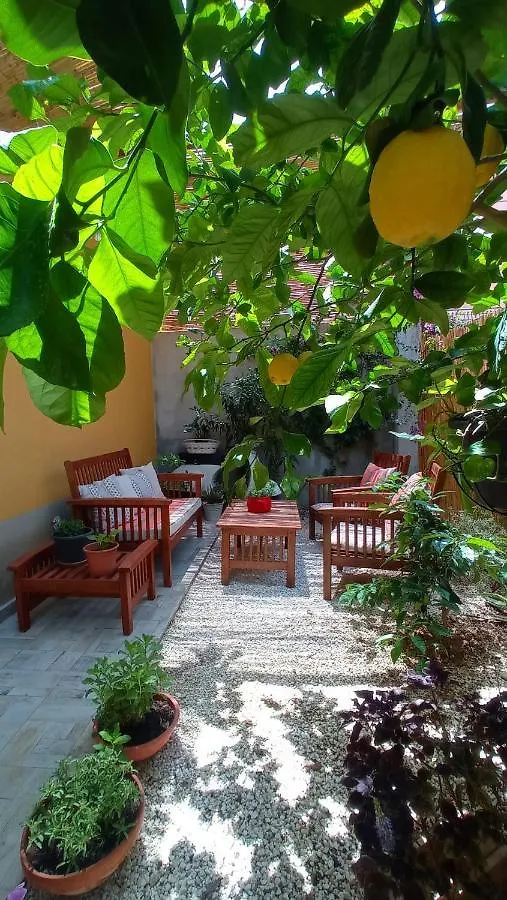 Green House location